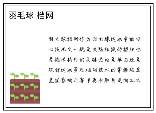 羽毛球 档网