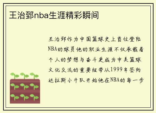 王治郅nba生涯精彩瞬间